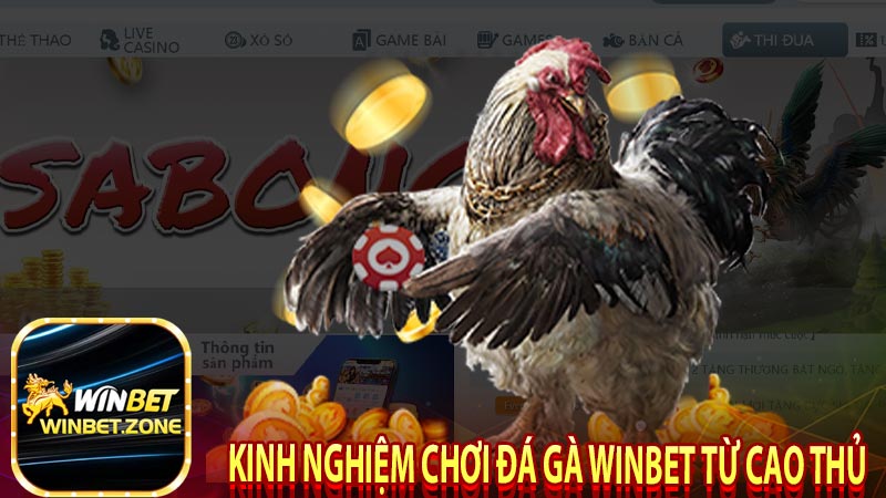 Kinh nghiệm chơi đá gà winbet từ cao thủ 