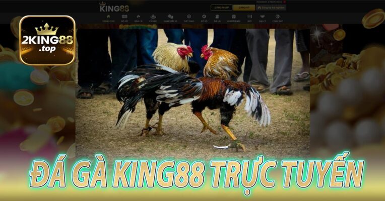 Đá Gà king88 trực tuyến là gì?